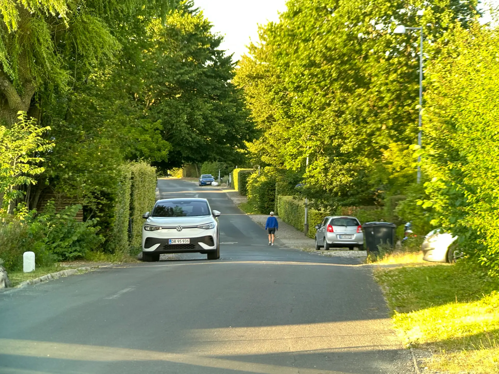 img 0399