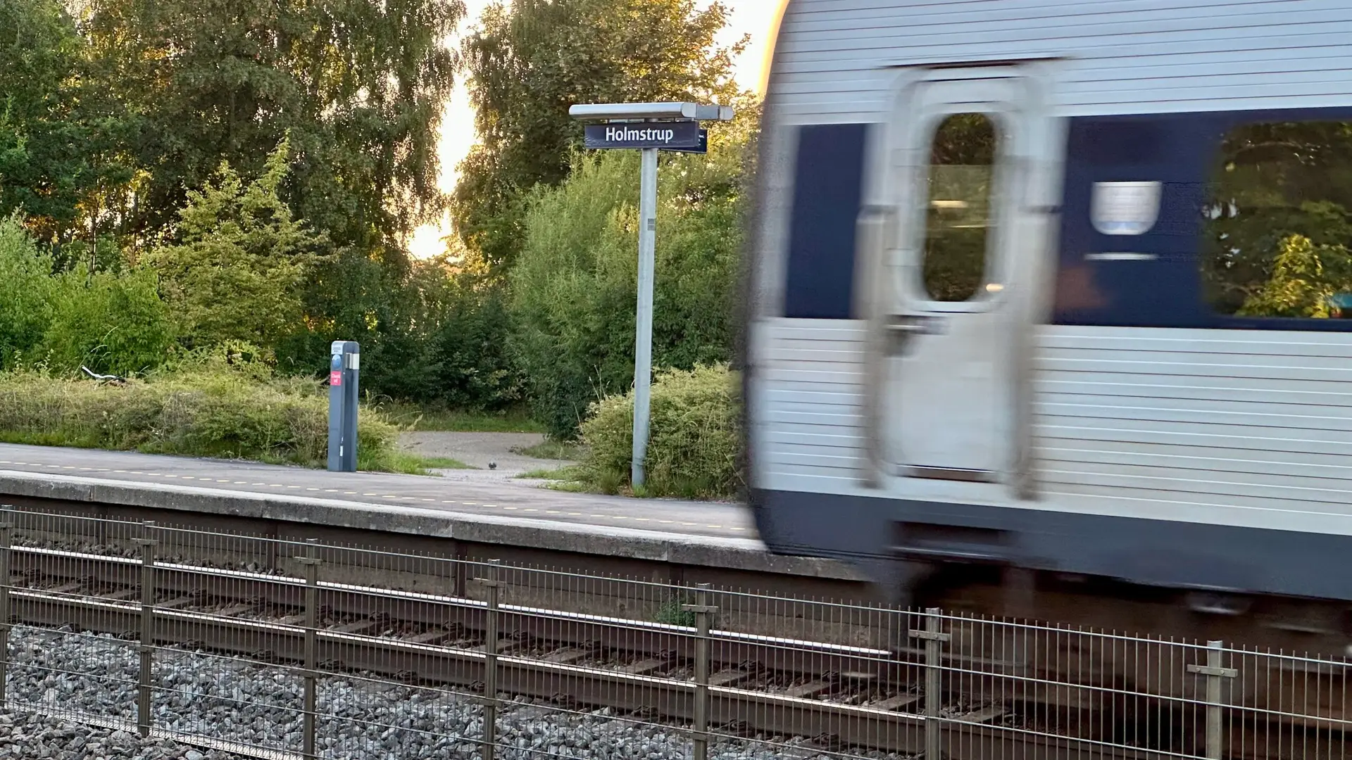 img 0780